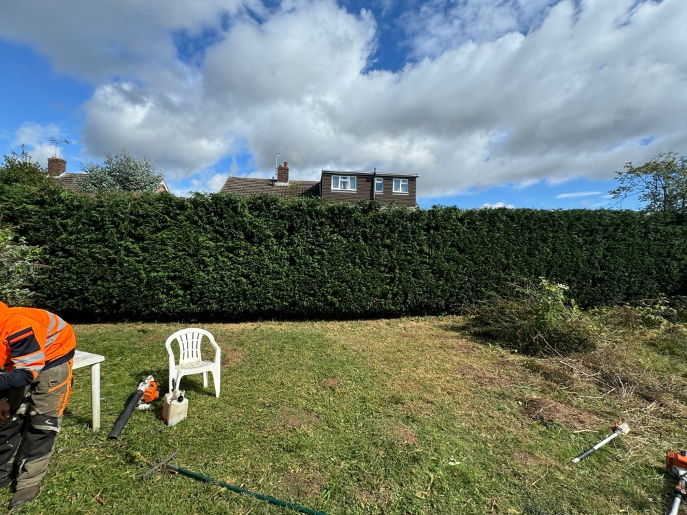 Hedge Trimming Castle Donington