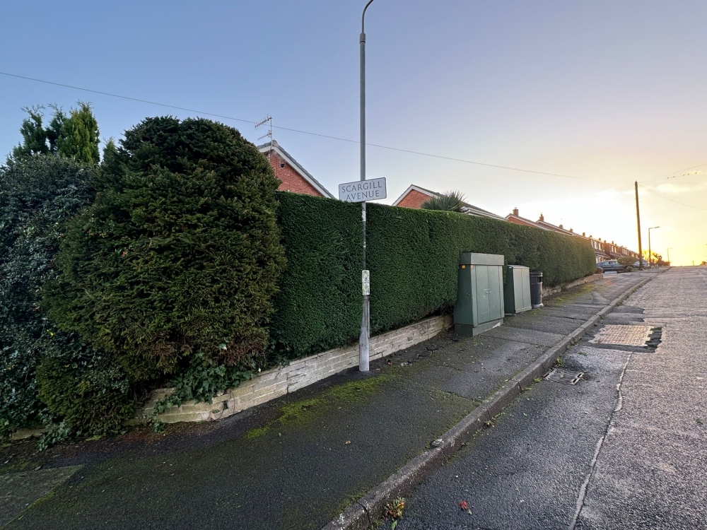 hedge trimming nottingham