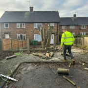 tree felling nottingham