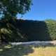 Hedge Trimming Nottingham