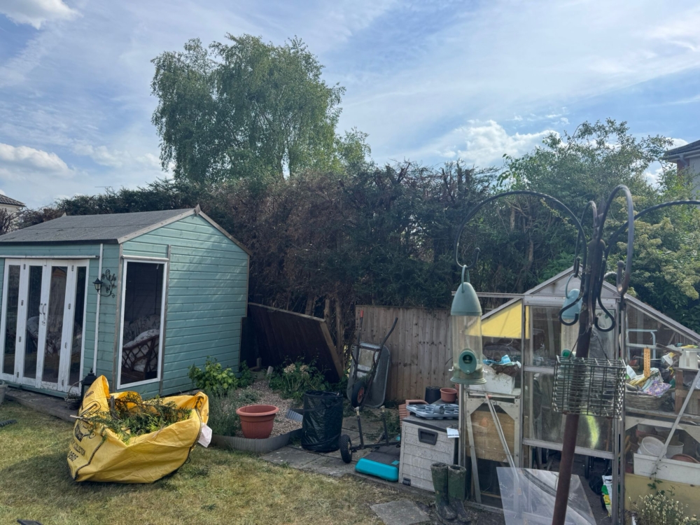 Hedge Reduction In Beeston