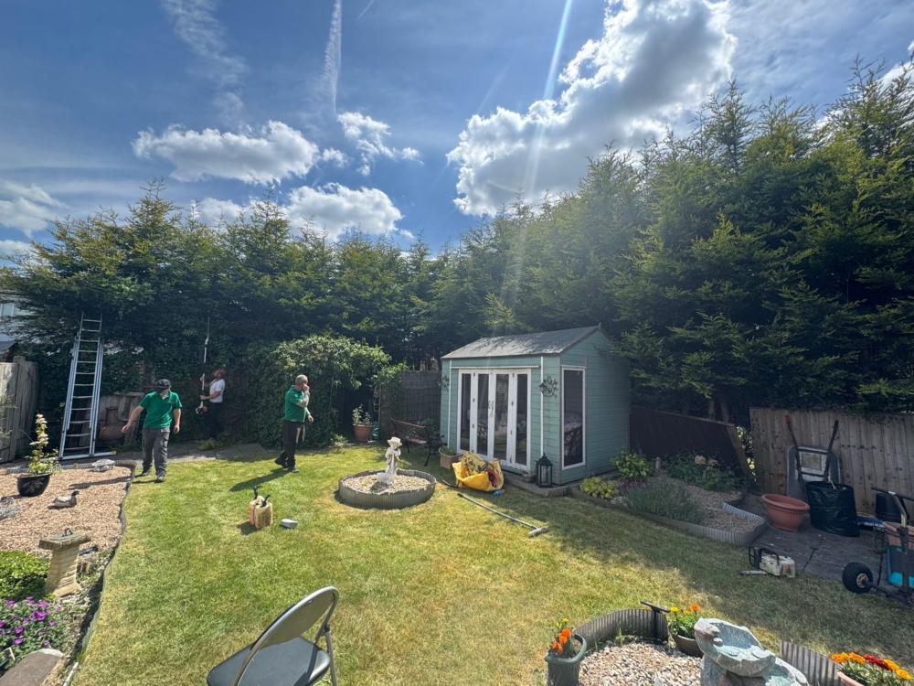 Hedge Reduction In Beeston