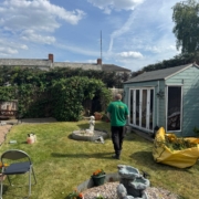 Hedge Reduction In Beeston