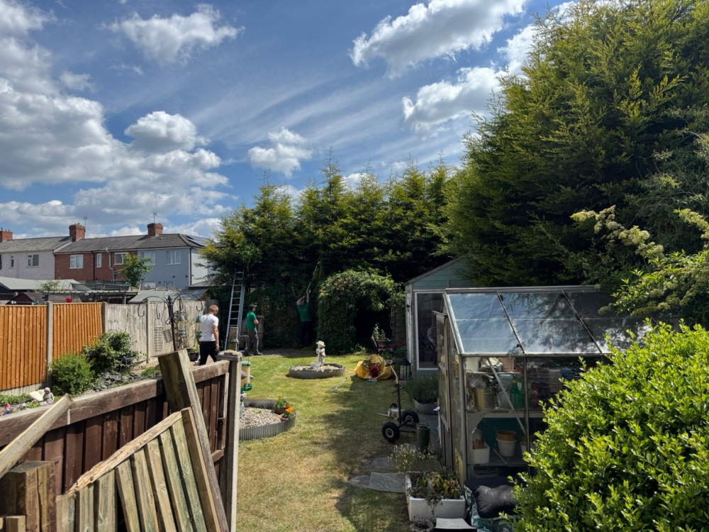 Hedge Reduction In Beeston