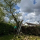 Top Rated Tree Surgery in Mackworth