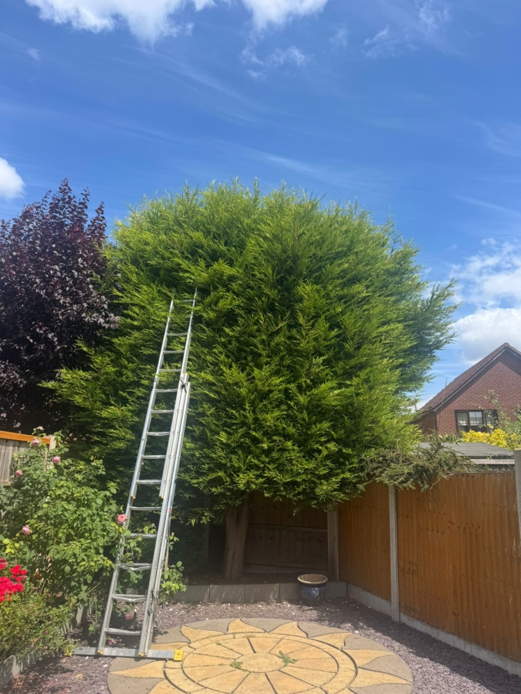 hedge trimming radcliffe on trent