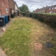 hedge cutting hucknall