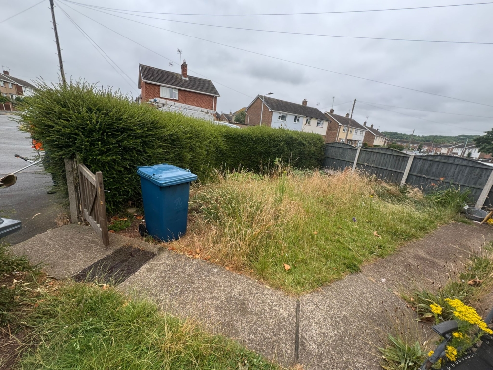 hedge cutting hucknall