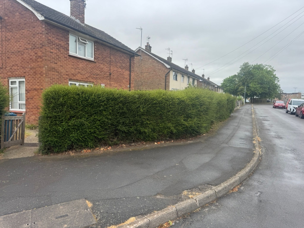 hedge cutting hucknall