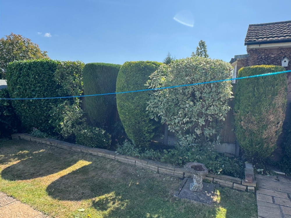 hedge maintenance cotgrave