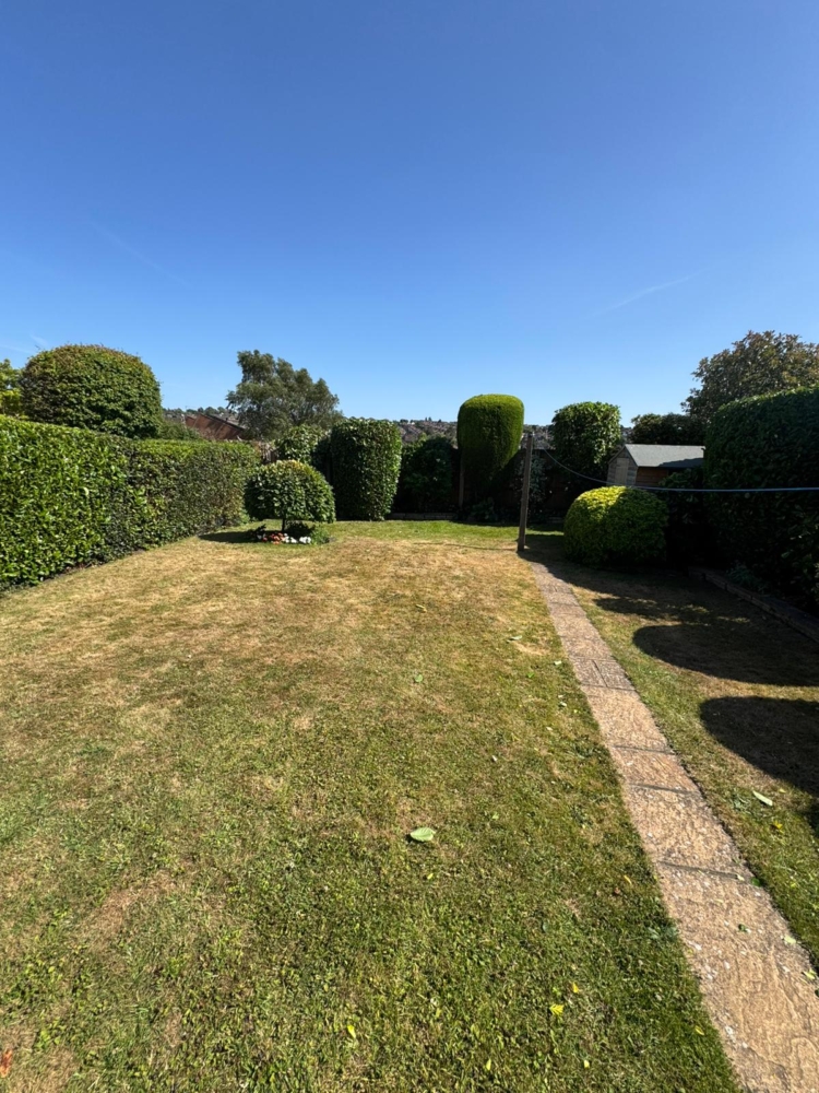 hedge maintenance cotgrave
