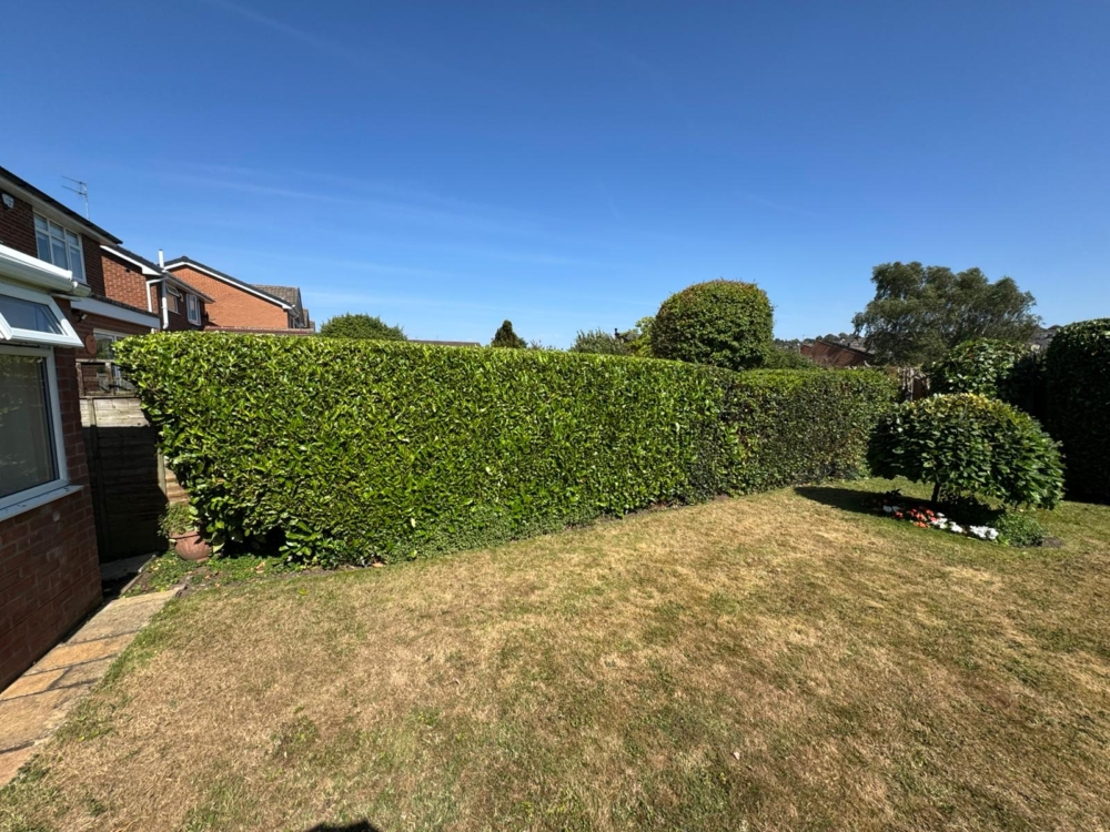 hedge maintenance cotgrave