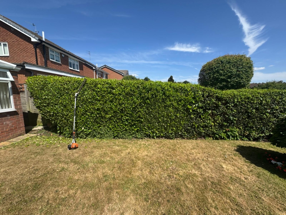 hedge maintenance cotgrave