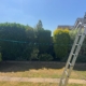 hedge maintenance cotgrave