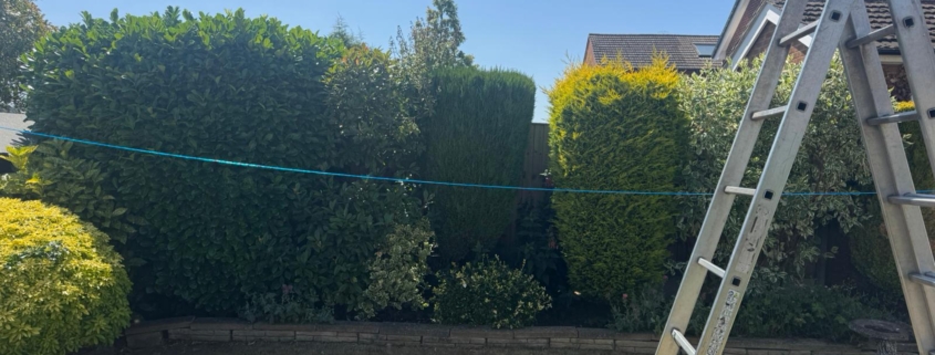 hedge maintenance cotgrave