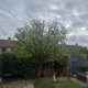 tree pruning Nuthall