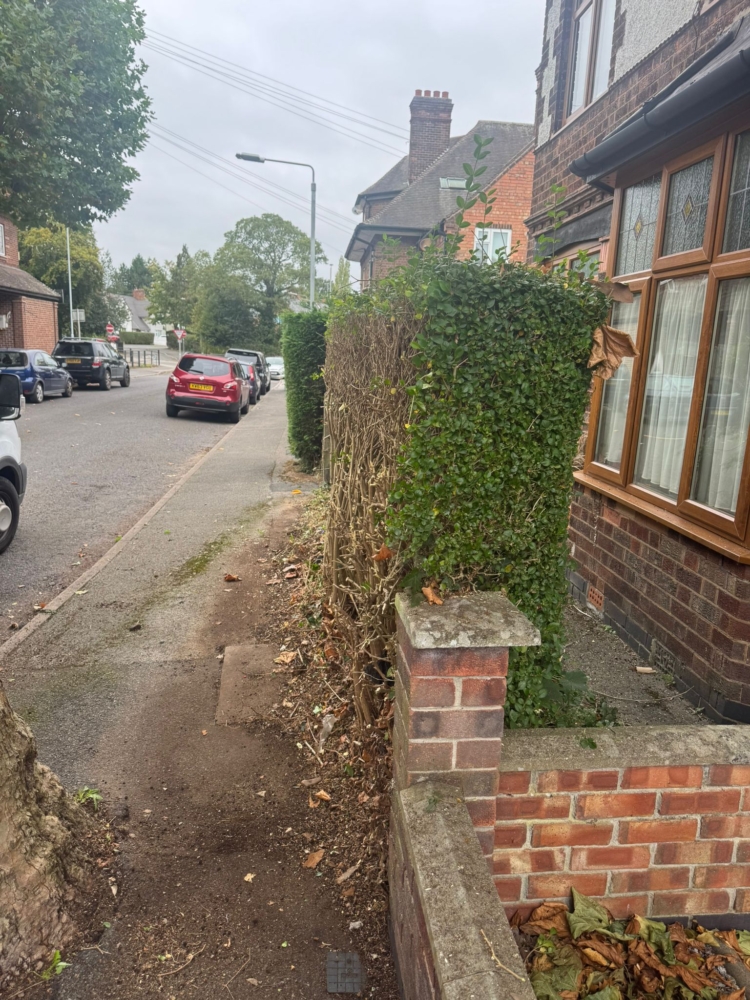 hedge cutting Woodthorpe