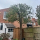 Tree pruning West Bridgford