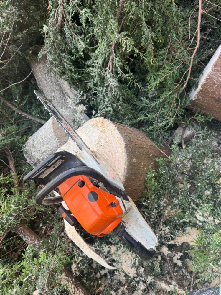 fir tree removal borrowash
