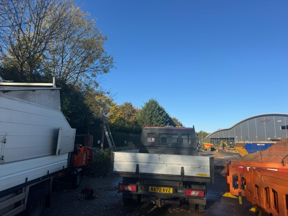 Tree Removal in Derby