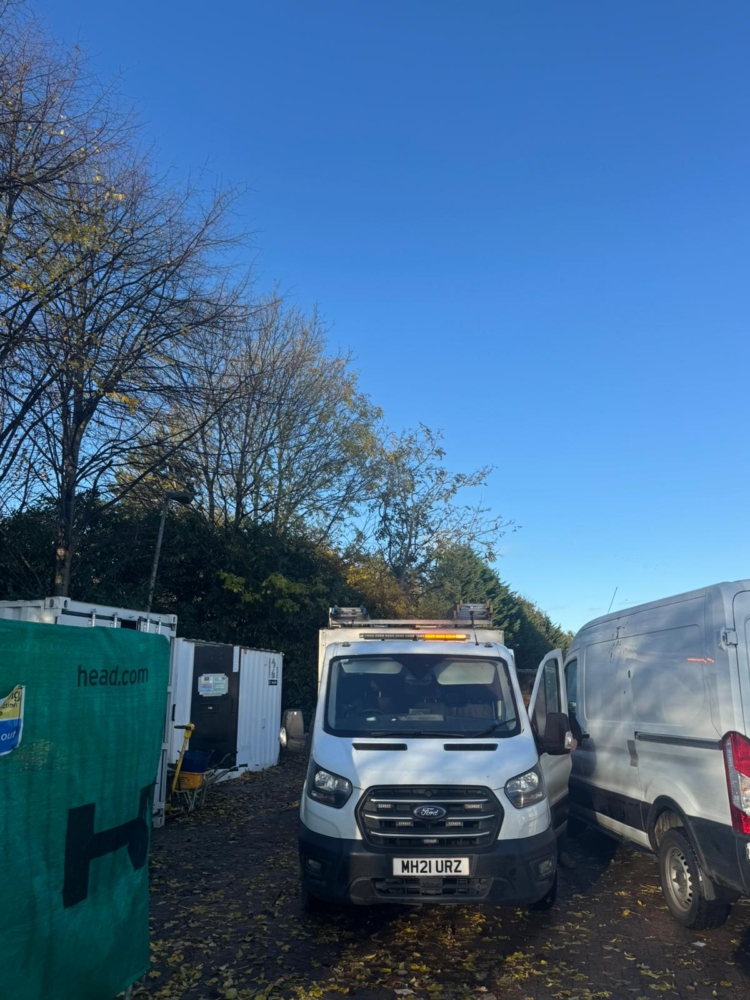 Tree Removal in Derby