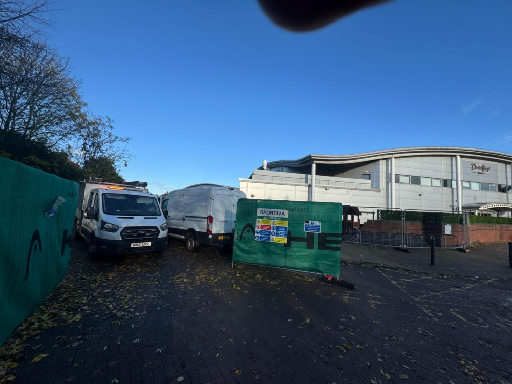 Tree Removal in Derby